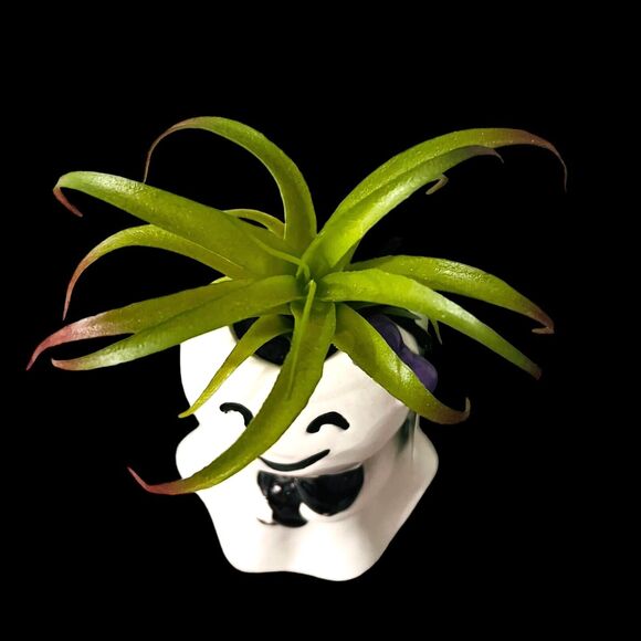 Halloween Girl Mom Black Cat Planter Pot Faux Succulent Plant - Picture 4 of 4